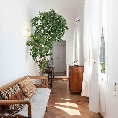 Luxury Heritage Penthouse - Navona Apartment