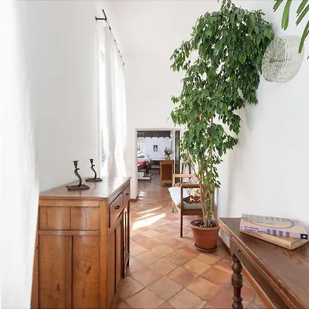 Luxury Heritage Penthouse - Navona Rome